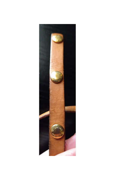 Louis Vuitton Monogram Pochette Florentine XS
